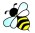 Bee pic