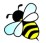 Bee pic